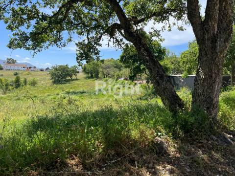 Terreno com 51.000m2 em Algueirão-Mem Martins