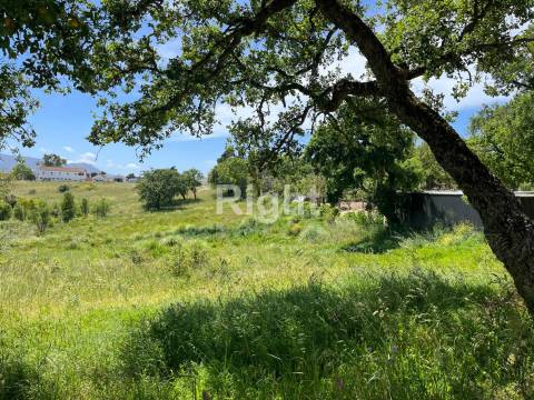 Terreno com 51.000m2 em Algueirão-Mem Martins