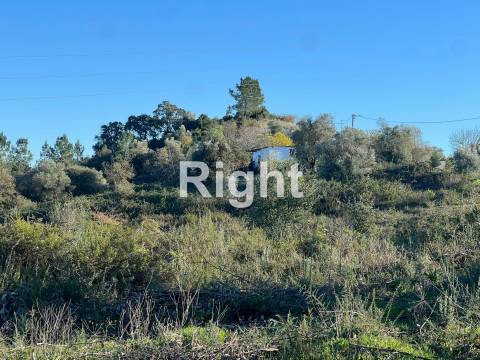 Oportunidade de investimento