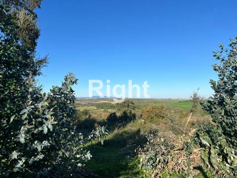 Oportunidade de investimento