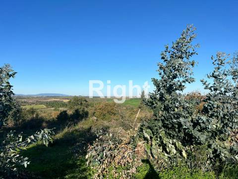 Oportunidade de investimento