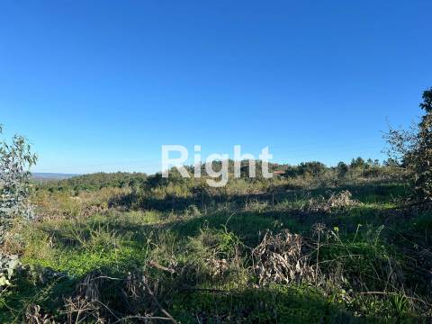 Oportunidade de investimento