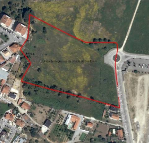 Oportunidade de investimento