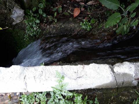 Casa moradia tipo quintinha, com dois pisos e Moinho de 3 rodas para reabilitar