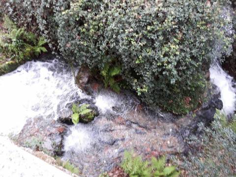 Casa moradia tipo quintinha, com dois pisos e Moinho de 3 rodas para reabilitar