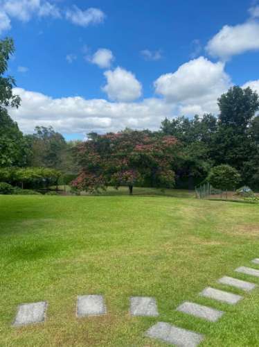 Quinta no Caminho de Santiago - 2 Casas e 3HA de potencial