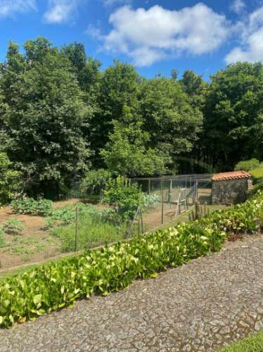 Quinta no Caminho de Santiago - 2 Casas e 3HA de potencial
