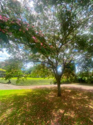 Quinta no Caminho de Santiago - 2 Casas e 3HA de potencial