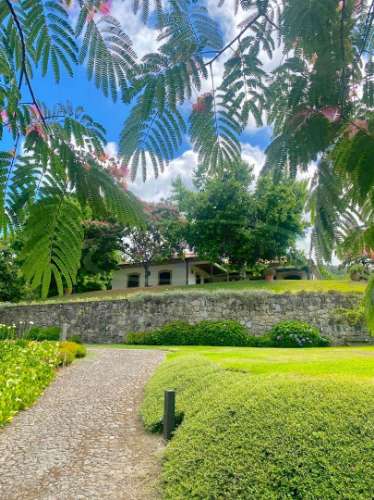 Quinta no Caminho de Santiago - 2 Casas e 3HA de potencial