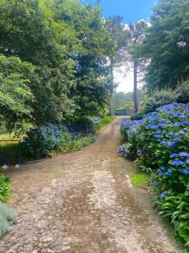 Quinta no Caminho de Santiago - 2 Casas e 3HA de potencial