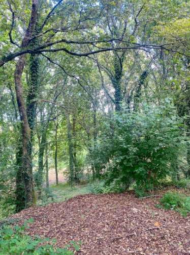 Quinta no Caminho de Santiago - 2 Casas e 3HA de potencial