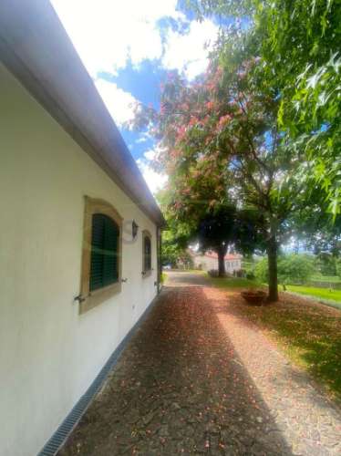 Quinta no Caminho de Santiago - 2 Casas e 3HA de potencial