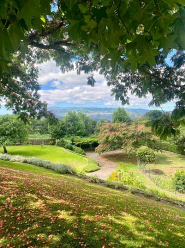 Quinta no Caminho de Santiago - 2 Casas e 3HA de potencial