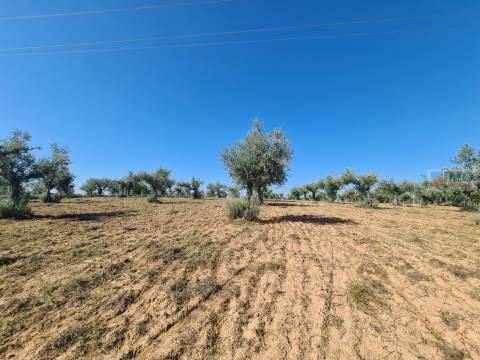 Quinta em Freixial do Campo