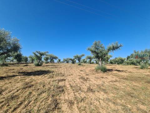 Quinta em Freixial do Campo