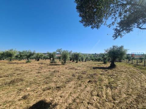 Quinta em Freixial do Campo