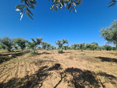 Quinta em Freixial do Campo