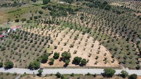 Quinta em Freixial do Campo