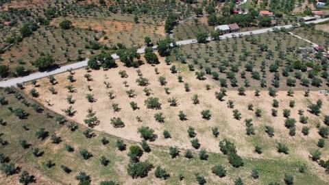 Quinta em Freixial do Campo
