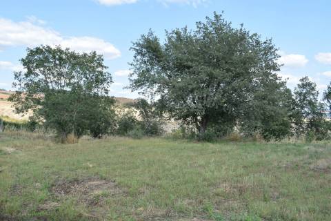 Moradia V5 c/ Piscina e Terreno - entre a Covilhã e Fundão