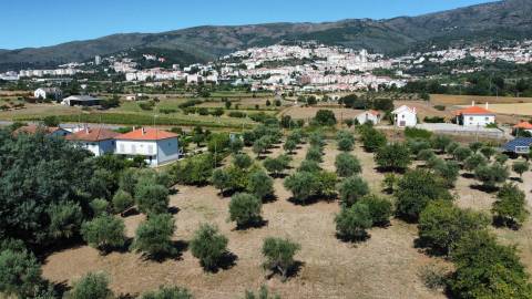 Moradia V6 p/ Renovar - Covelo