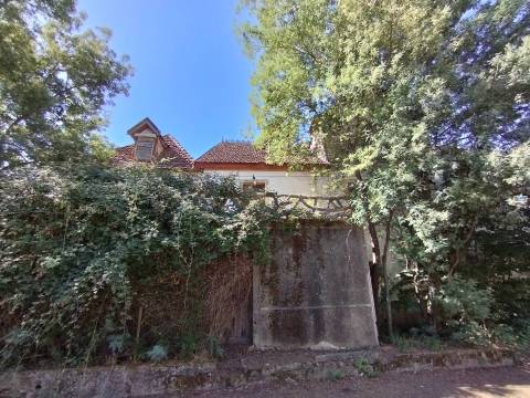 Moradia V6 p/ Renovar - Covelo