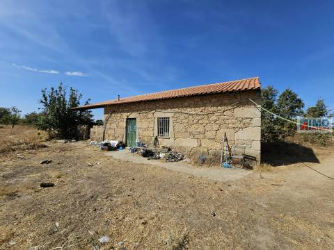 Quinta com moradia V2 legalizada