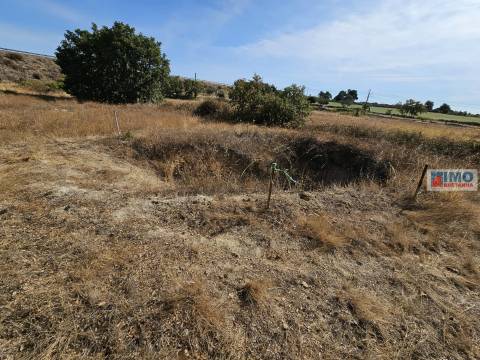 Quinta com moradia V2 legalizada