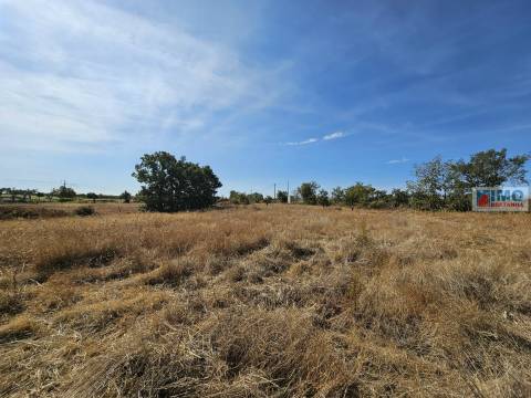 Quinta com moradia V2 legalizada