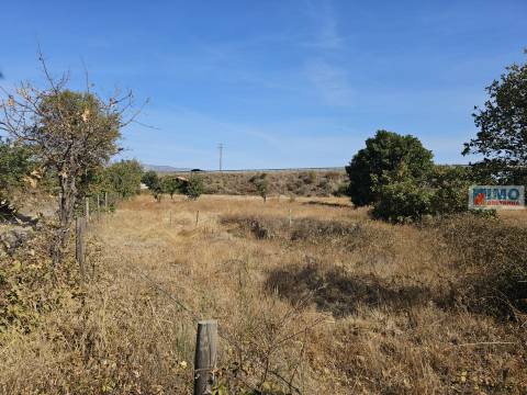 Quinta com moradia V2 legalizada