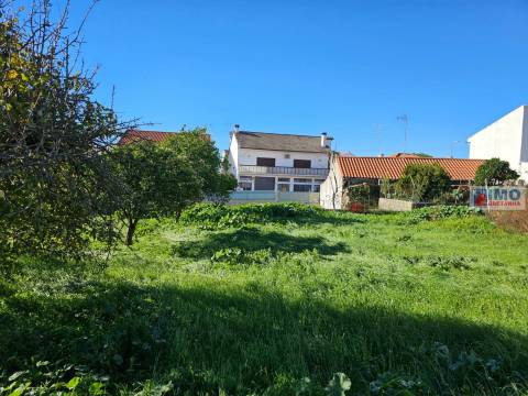 Lote de Terreno