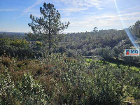 Quinta c/ 3.500m2 -  Cebolais de Cima-Retaxo