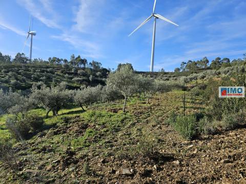 Quinta c/ 3.500m2 -  Cebolais de Cima-Retaxo