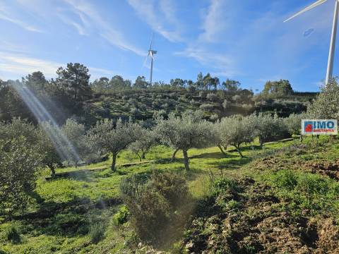 Quinta c/ 3.500m2 -  Cebolais de Cima-Retaxo