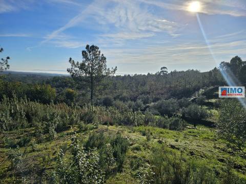 Quinta c/ 3.500m2 -  Cebolais de Cima-Retaxo