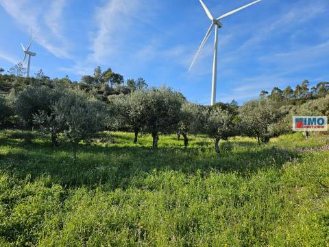 Quinta c/ 3.500m2 -  Cebolais de Cima-Retaxo