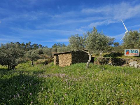 Quinta c/ 3.500m2 -  Cebolais de Cima-Retaxo