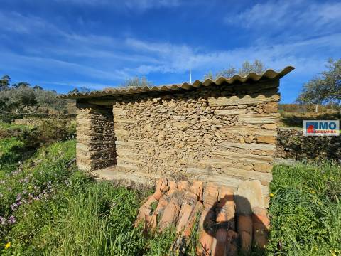 Quinta c/ 3.500m2 -  Cebolais de Cima-Retaxo