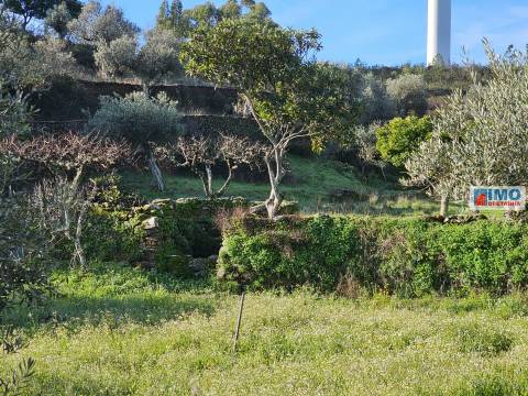 Quinta c/ 3.500m2 -  Cebolais de Cima-Retaxo