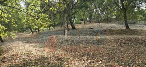 Lote de Terreno - p/ Construção de Moradias - Entrada da Covilhã