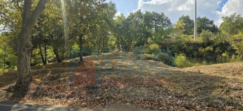 Lote de Terreno - p/ Construção de Moradias - Entrada da Covilhã