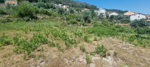 Lote de Terreno p/ Construção - Covilhã