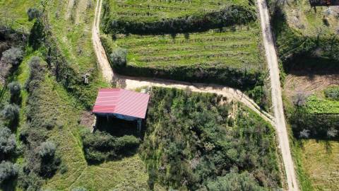 Quinta c/ Barracão - Monte Serrano