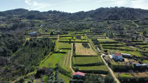 Quinta c/ Barracão - Monte Serrano