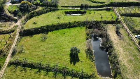 Quinta c/ Barracão - Monte Serrano