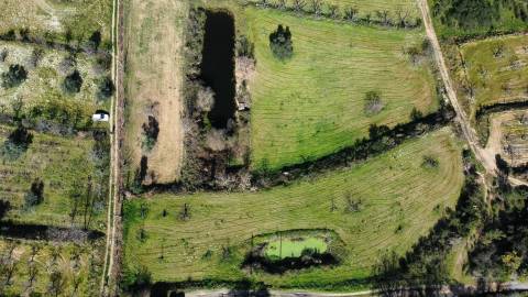 Quinta c/ Barracão - Monte Serrano