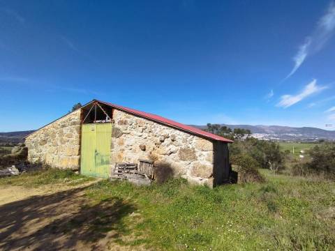 Quinta c/ Barracão - Monte Serrano