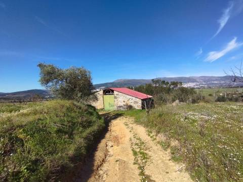 Quinta c/ Barracão - Monte Serrano