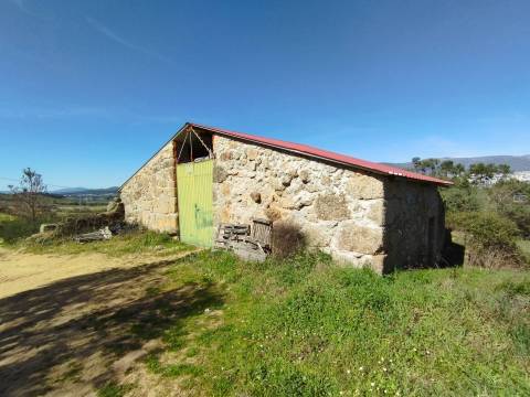 Quinta c/ Barracão - Monte Serrano