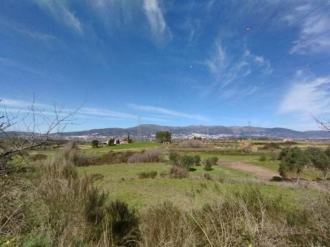 Quinta/Terreno - Monte Serrano - Ferro